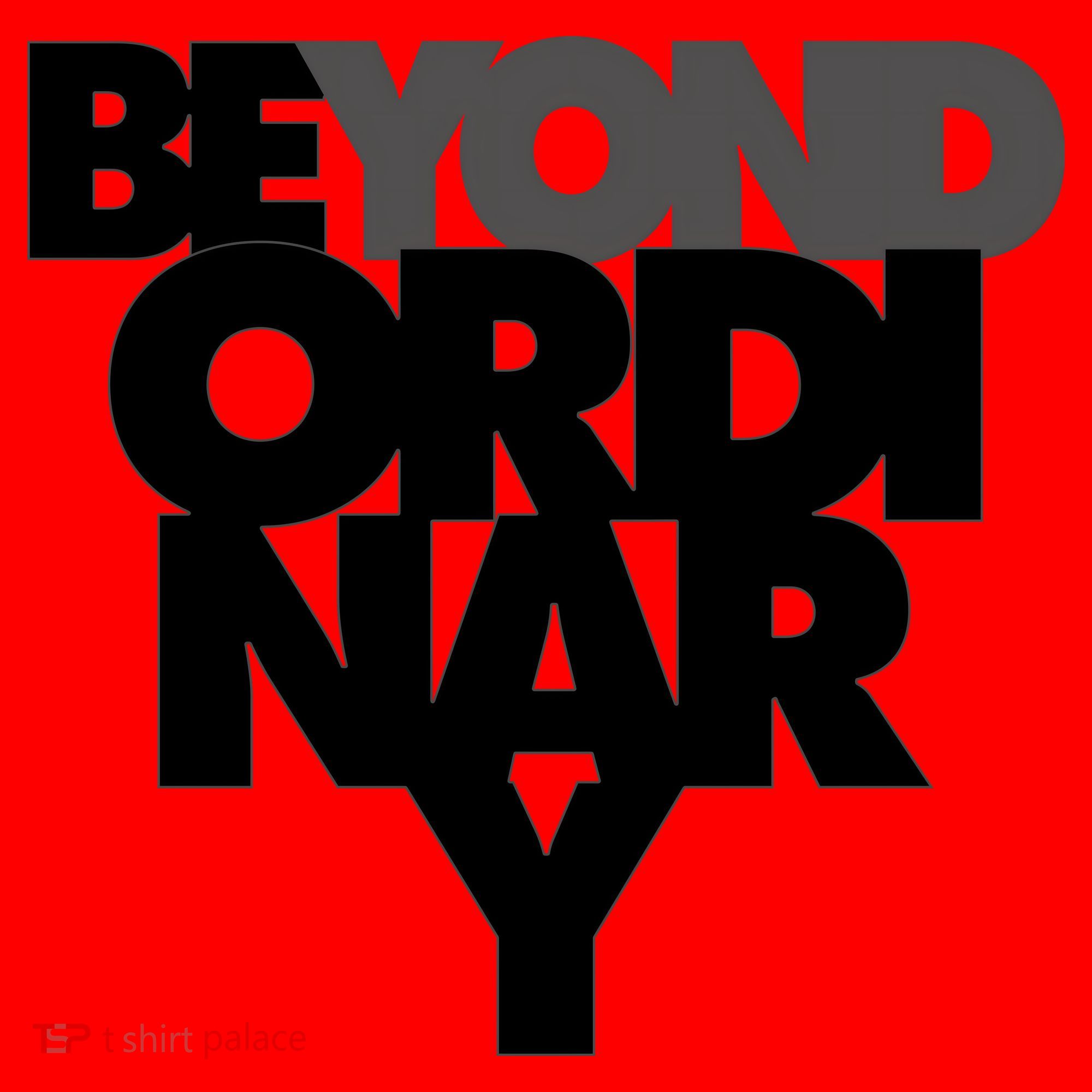Beyond Ordinary Santa Hat