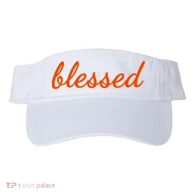 Visor