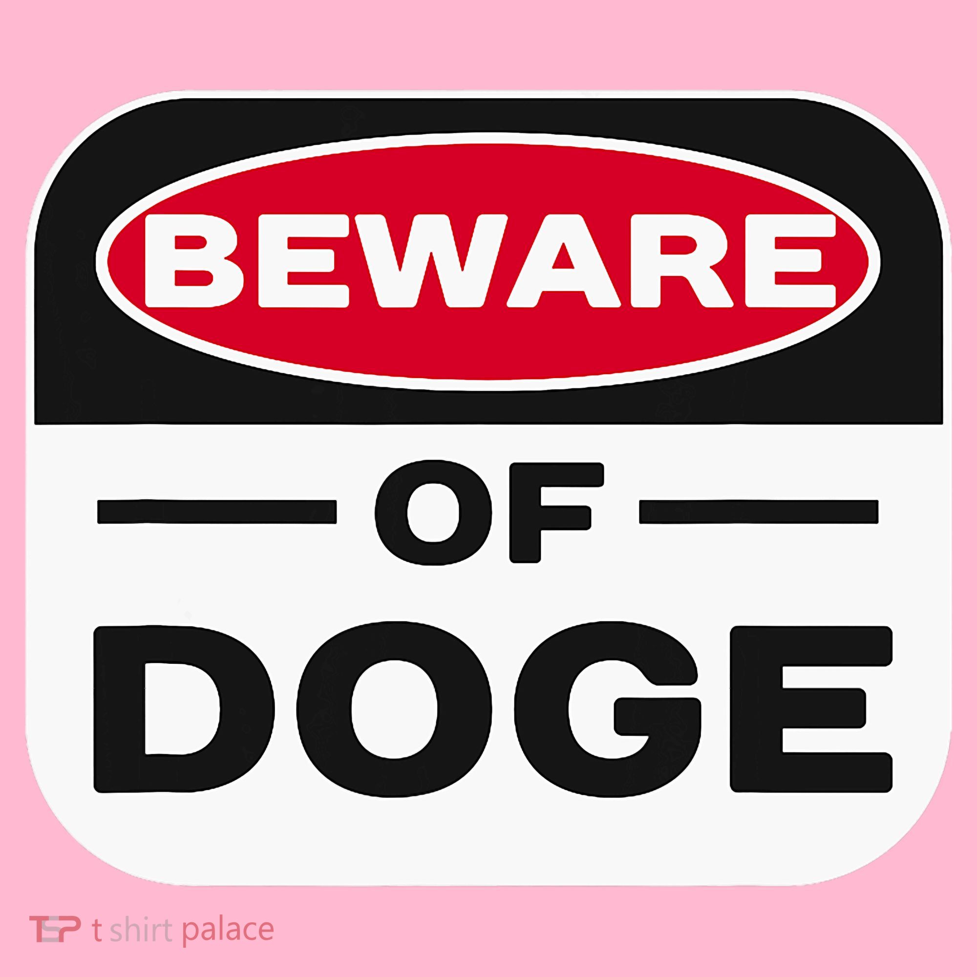 Beware Of Doge Meme Department Of Government T-Shirt