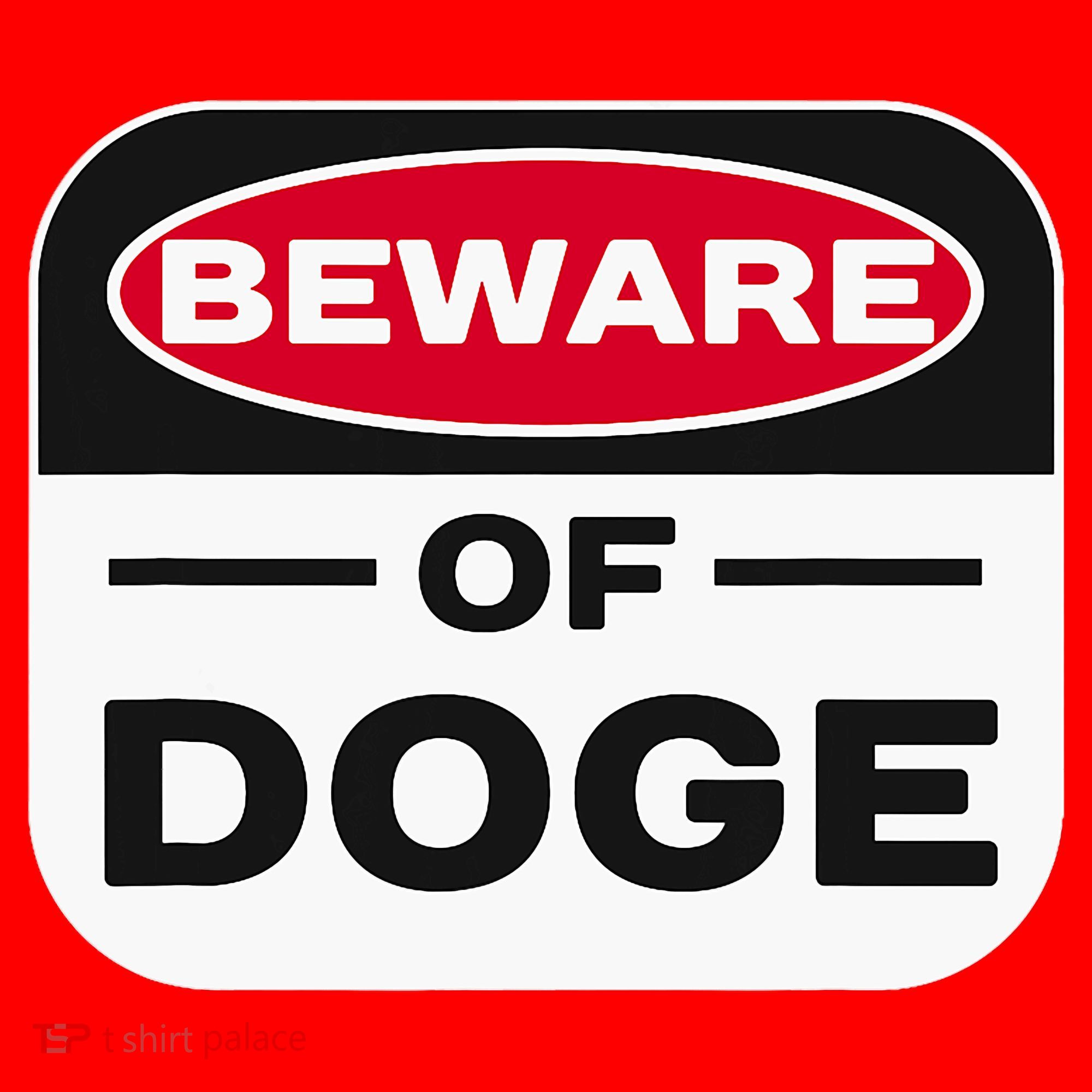 Beware Of Doge Meme Department Of Government Santa Hat
