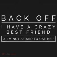 Back Off I Have A Crazy Best Friend Toddler Hoodie thumb 2