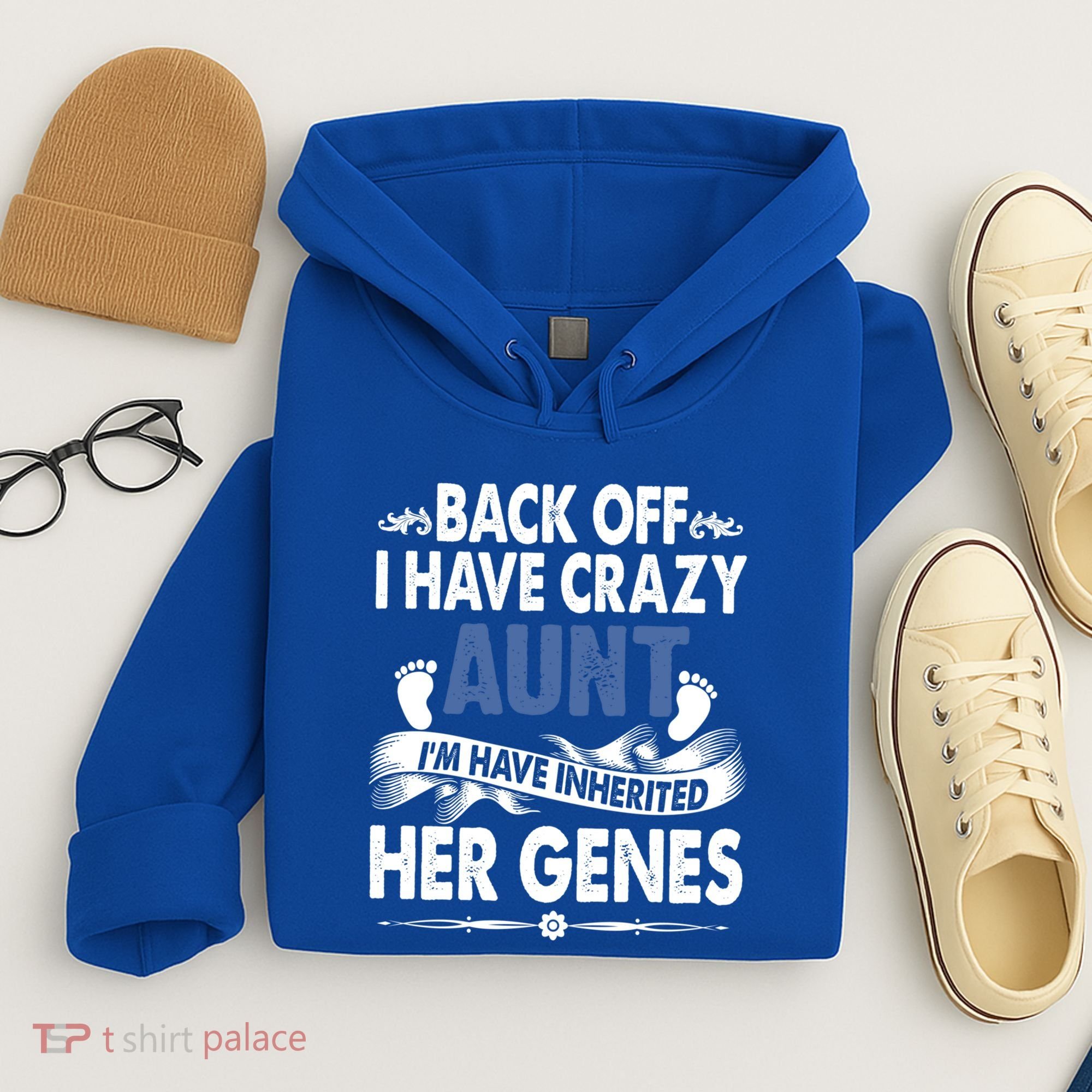 Back Off I Have A Crazy Aunt Niece Retro Aunt Gift Hoodie