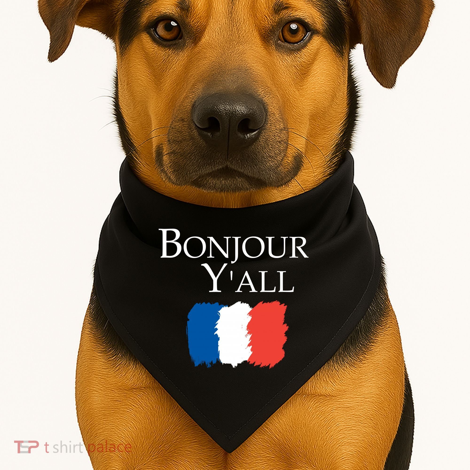 Bonjour Y'all French Parris USA-Made Doggie Bandana