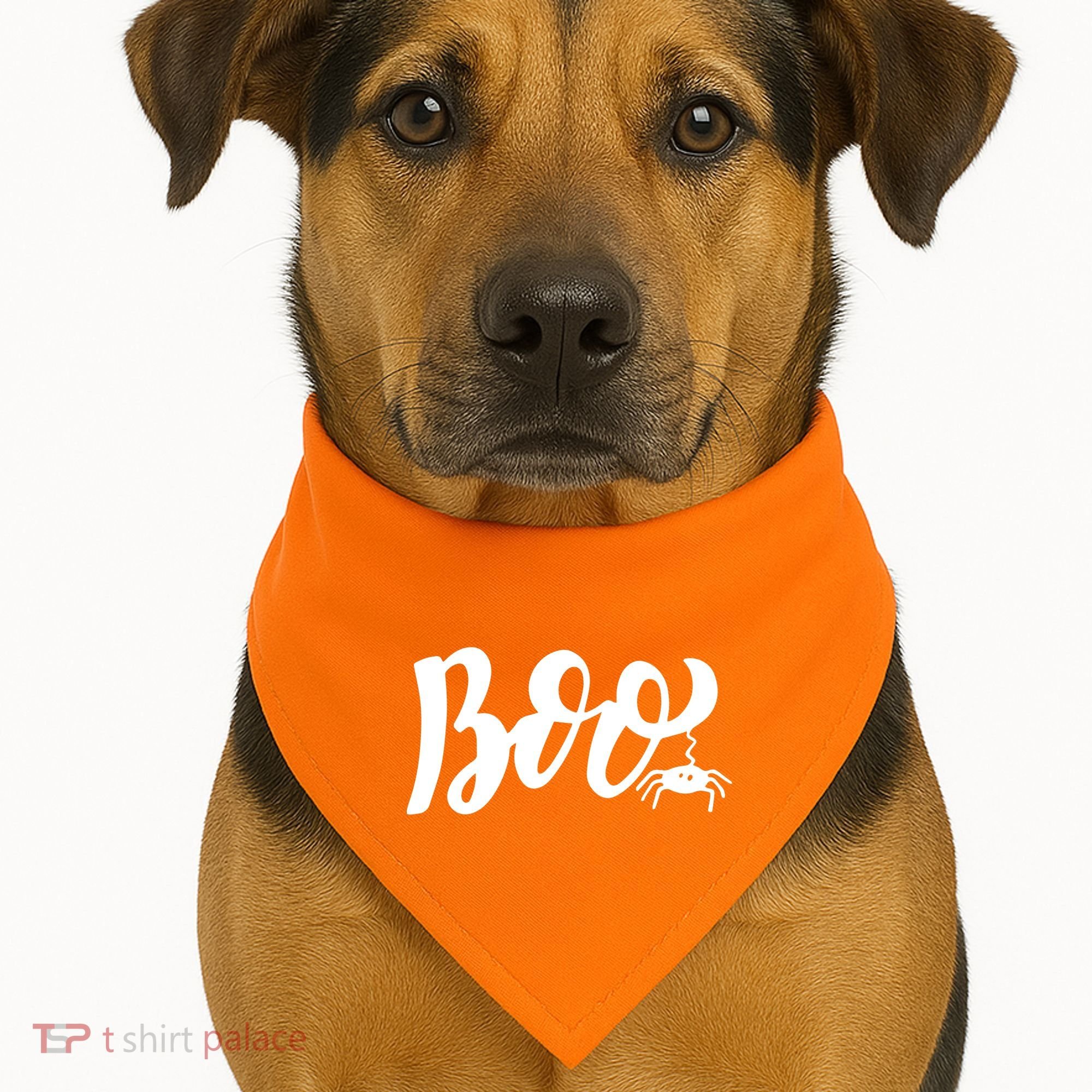 Boo Cut Spider Halloween USA-Made Doggie Bandana