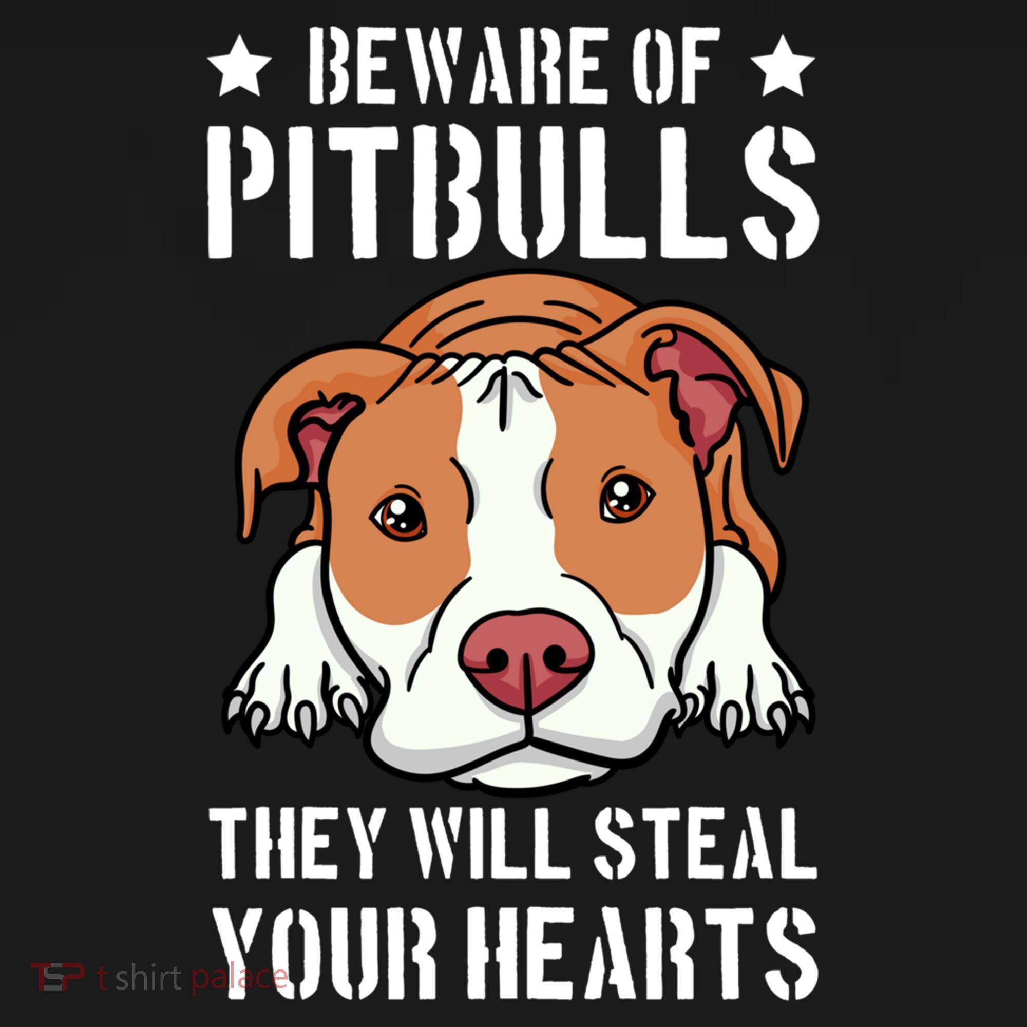 Beware Of Pitbull They Will Still Your Heart Pit Bull Pibble Cute Gift Women's Hoodie