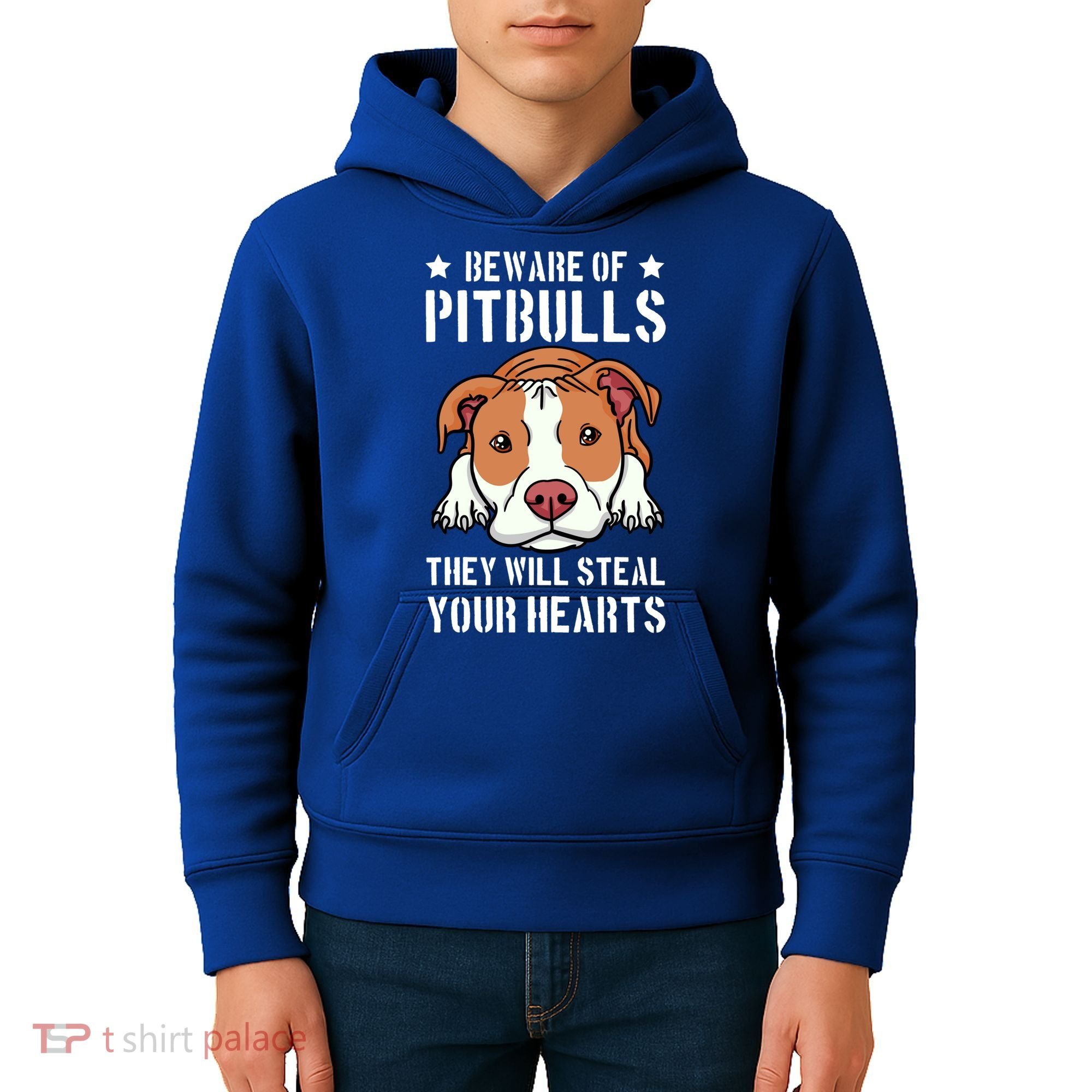 Beware Of Pitbull They Will Still Your Heart Pit Bull Pibble Cute Gift Kids Hoodie