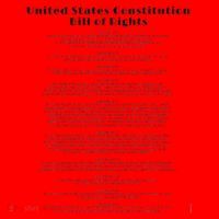 Bill Of Rights Us Constitution Santa Hat thumb 1