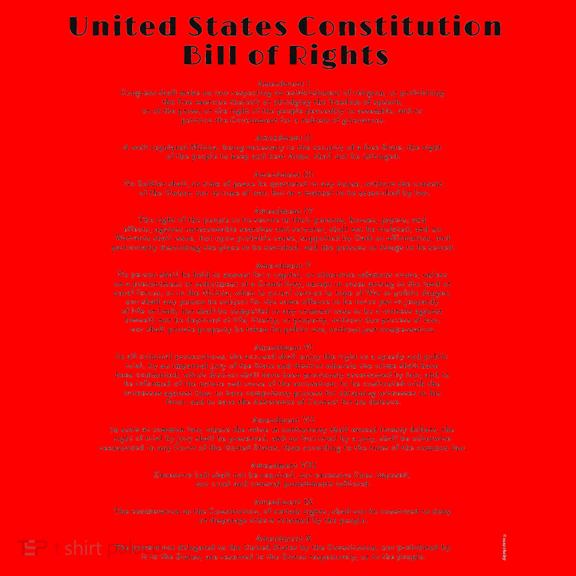 Bill Of Rights Us Constitution Santa Hat