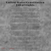 Bill Of Rights Us Constitution Toddler Hoodie thumb 2