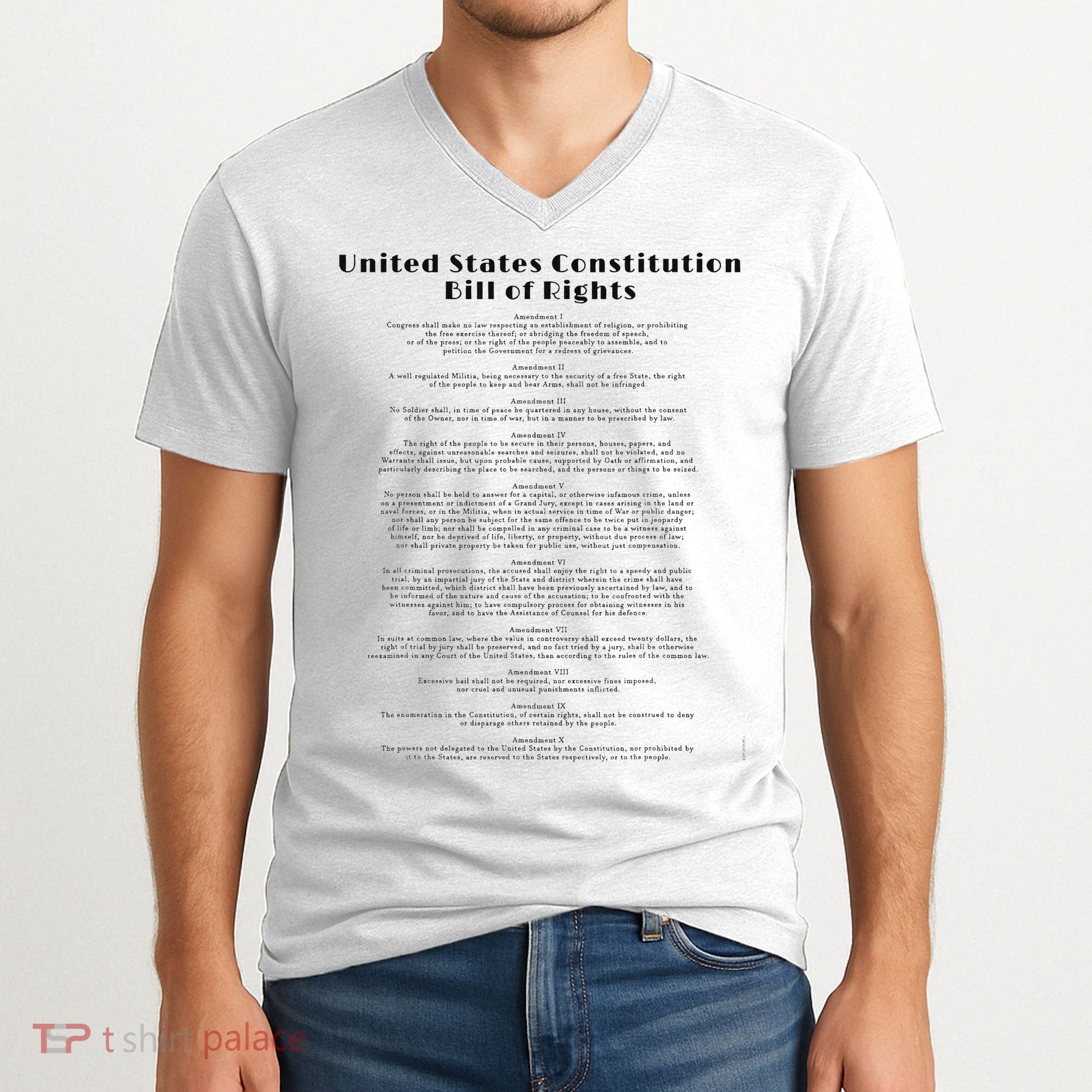 Bill Of Rights Us Constitution V-Neck T-Shirt