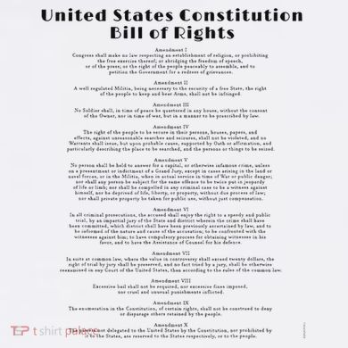 Bill Of Rights Us Constitution V-Neck T-Shirt
