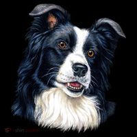 Border Collie Hoodie thumb 7