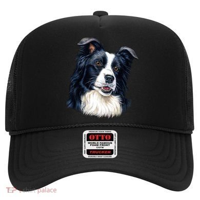 Border Collie Hat