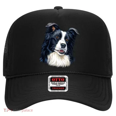 Border Collie Hat