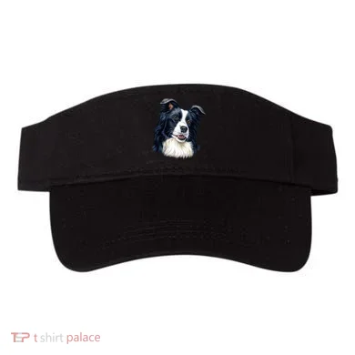 Visor