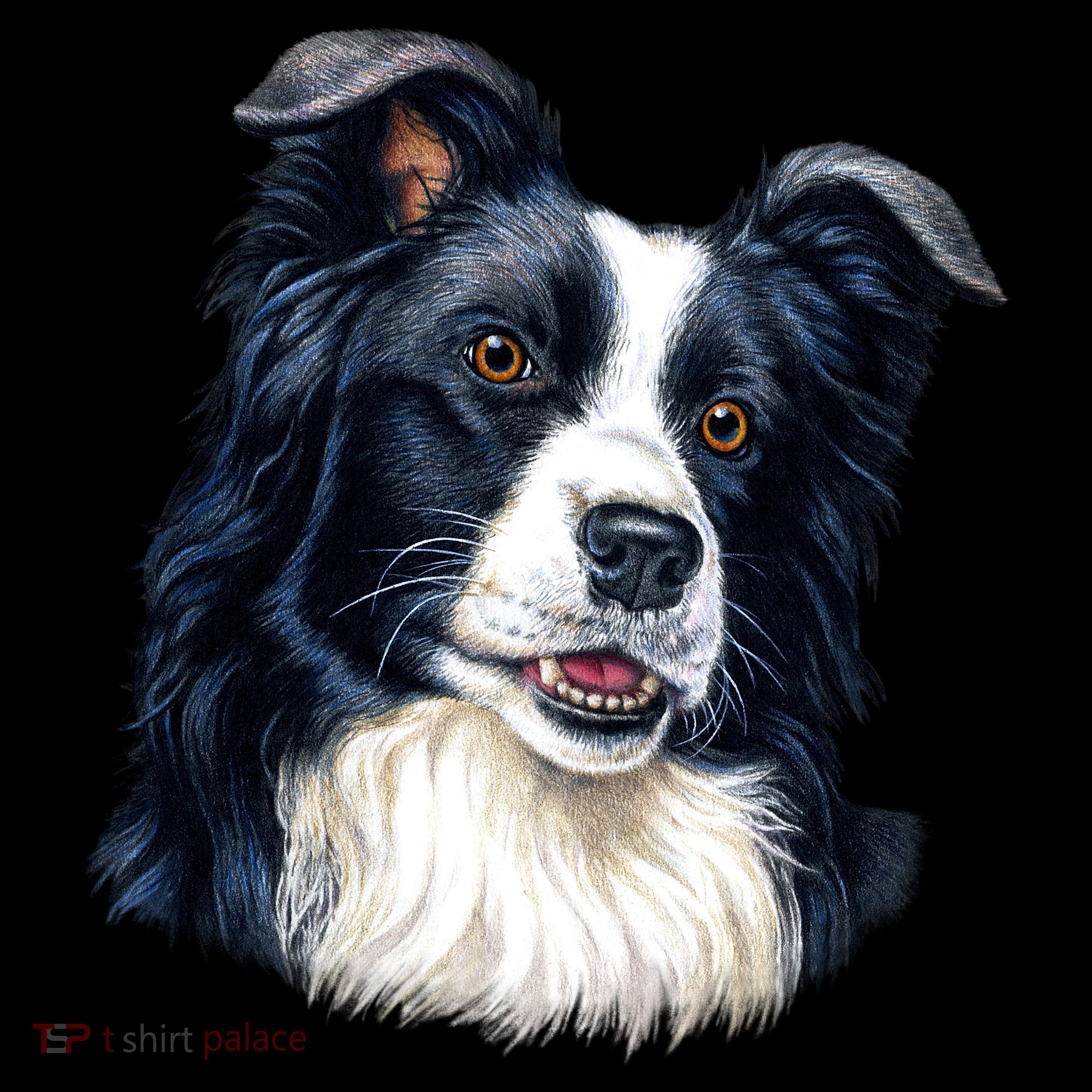 Border Collie Kids Hoodie