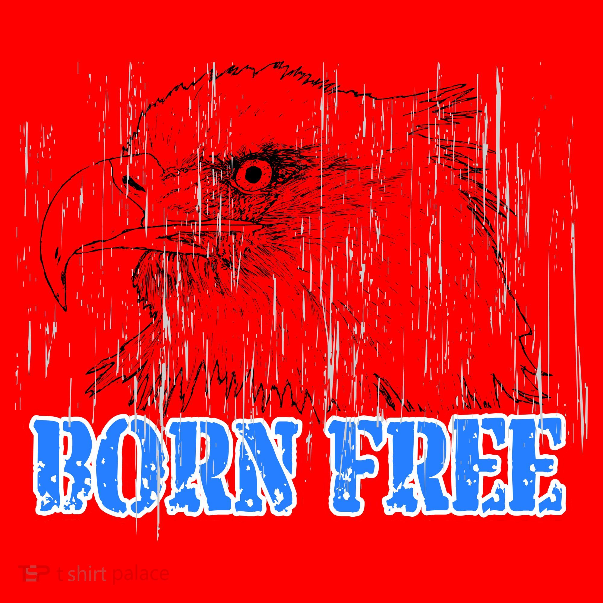 Born Free Eagle Santa Hat