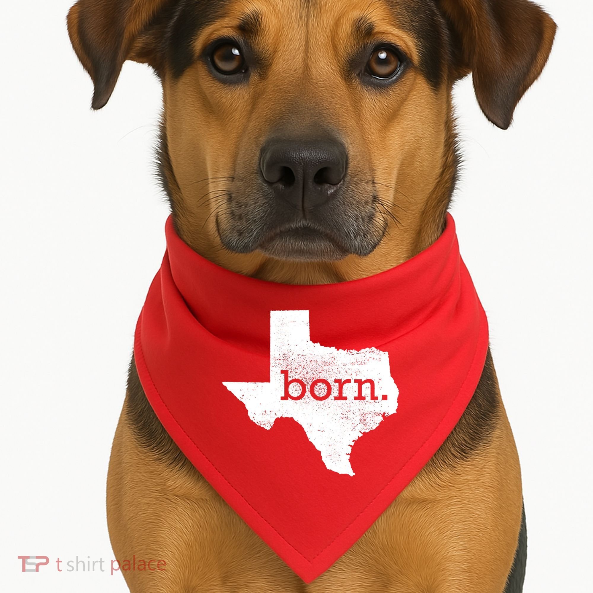 Born In Texas Home USA-Made Doggie Bandana