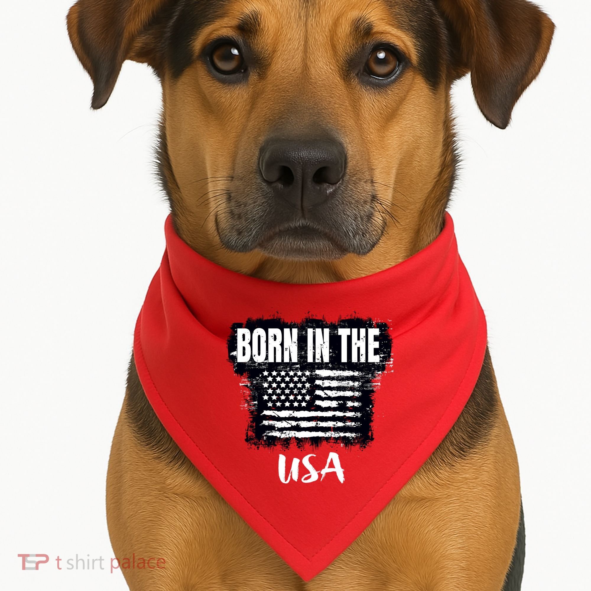 Born In The USA USA-Made Doggie Bandana