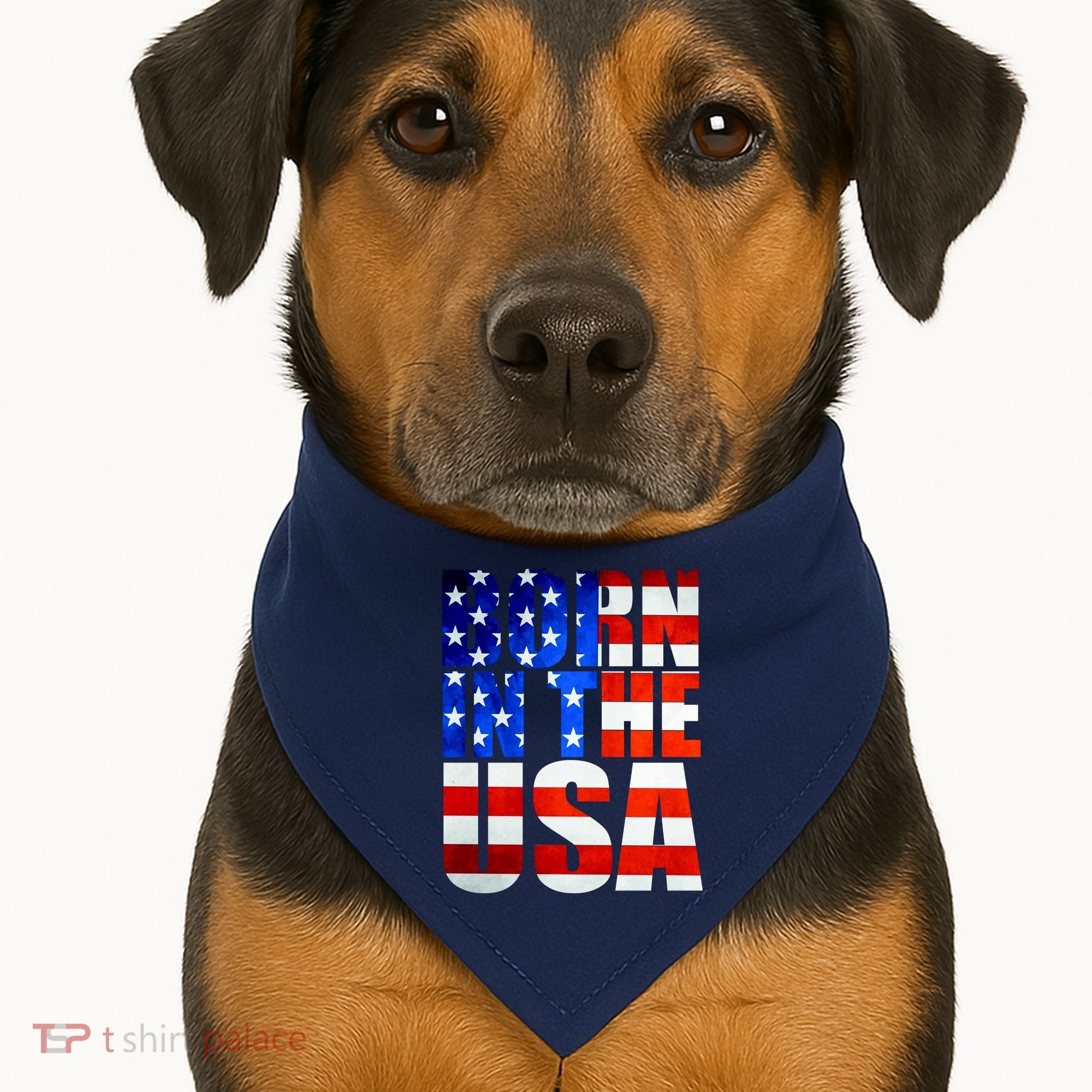 Born In The USA Flag USA-Made Doggie Bandana