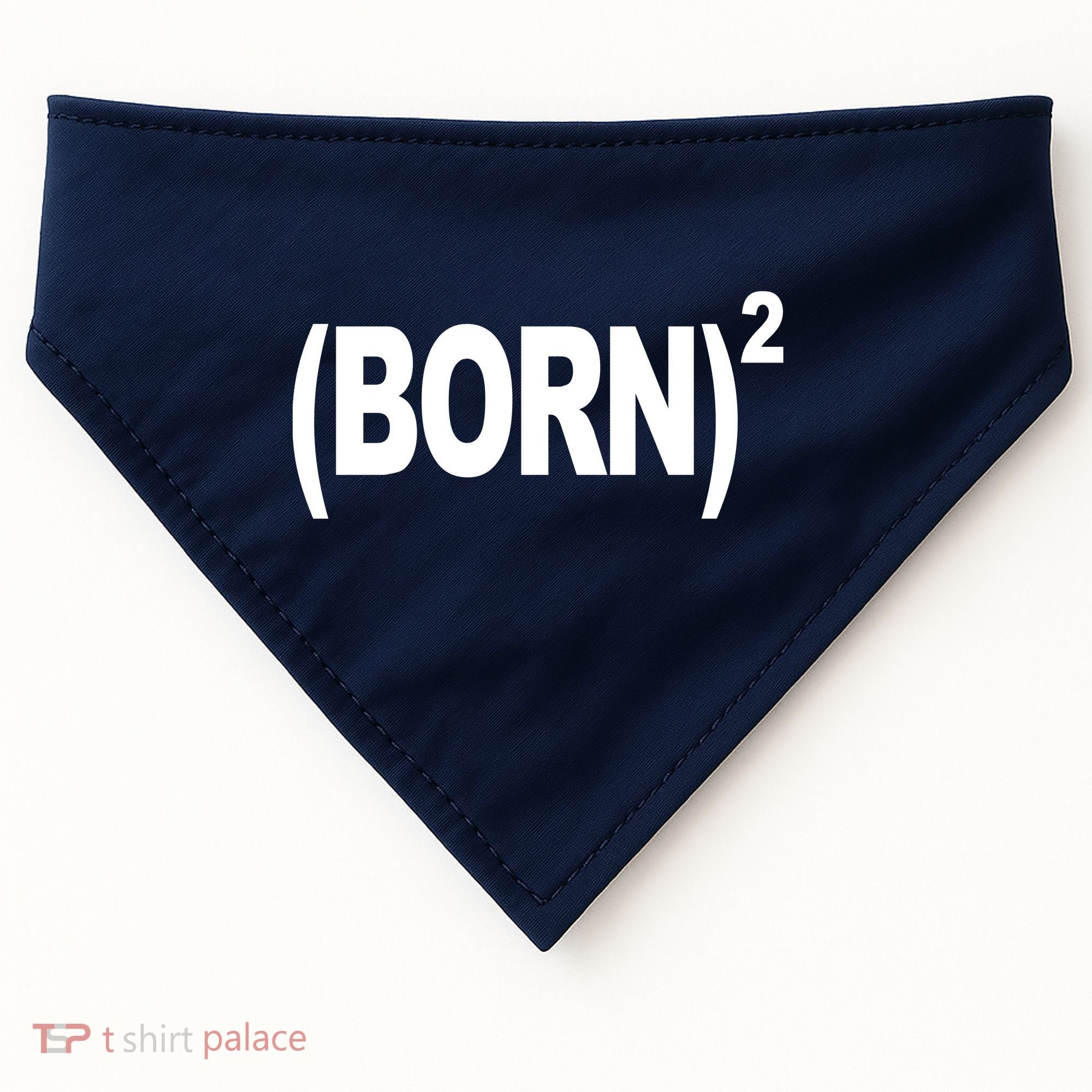 Born squared USA-Made Doggie Bandana
