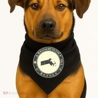 Boston Massachusetts Retro USA-Made Doggie Bandana thumb 1