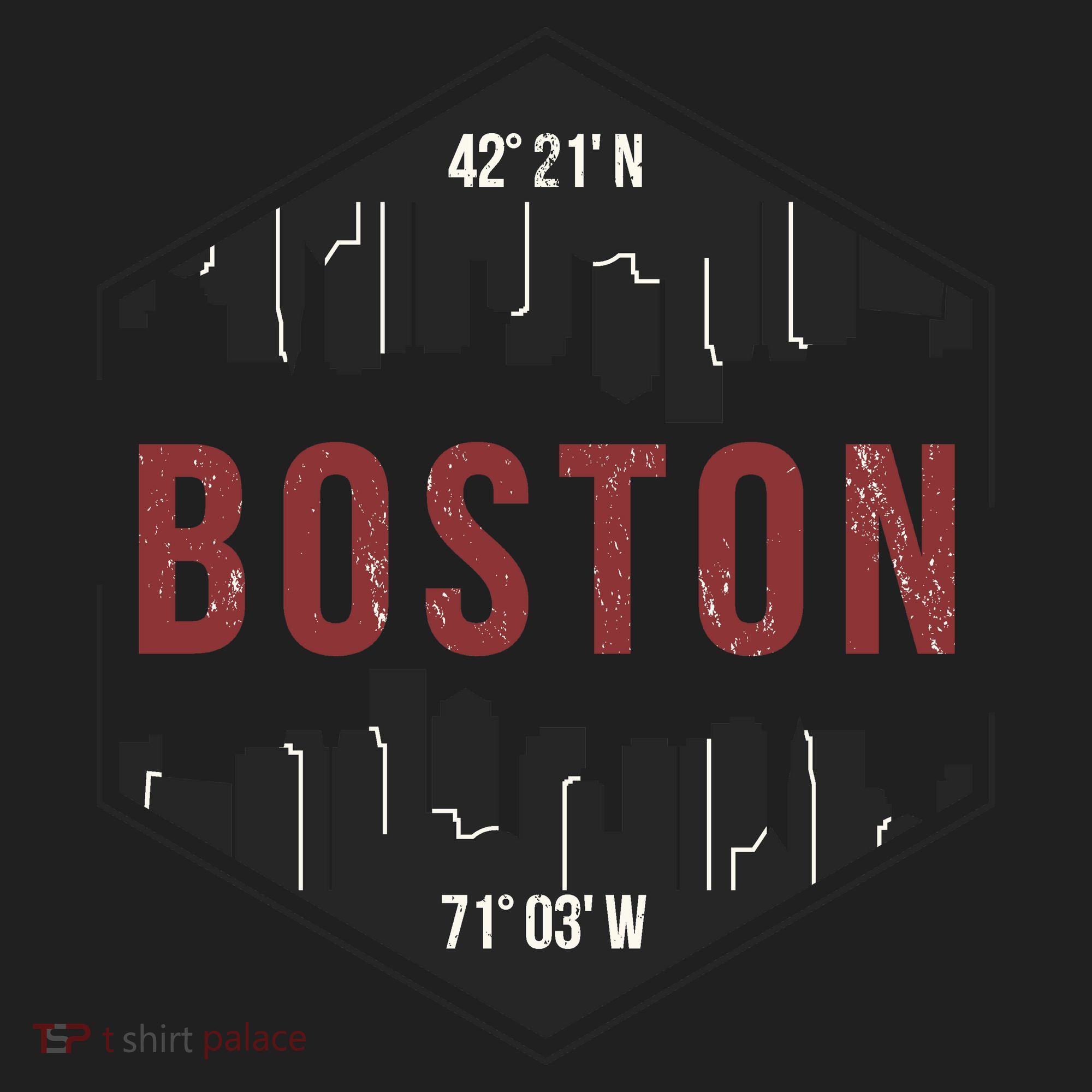 Boston Skyline Women's Sweatshirt