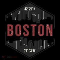 Boston Skyline Women's Hoodie thumb 2
