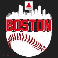 Boston Skyline Fenway Baseball Sports Logo Tumbler thumb 3