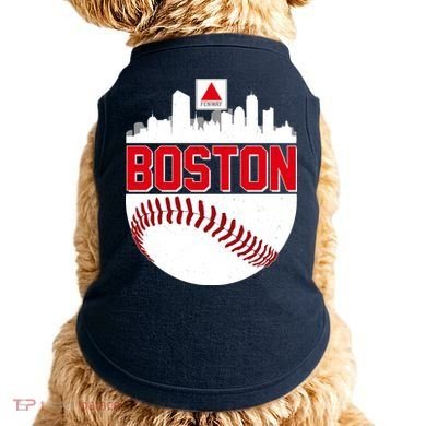 Boston Skyline Fenway Baseball Sports Logo Doggie Tank
