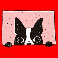 Boston Terrier Peeking Santa Hat thumb 1