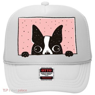 Boston Terrier Peeking Hat