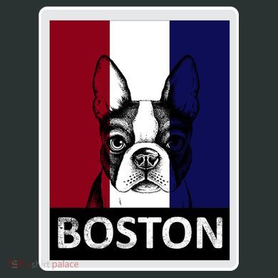 Boston Terrier Portrait  Hoodie