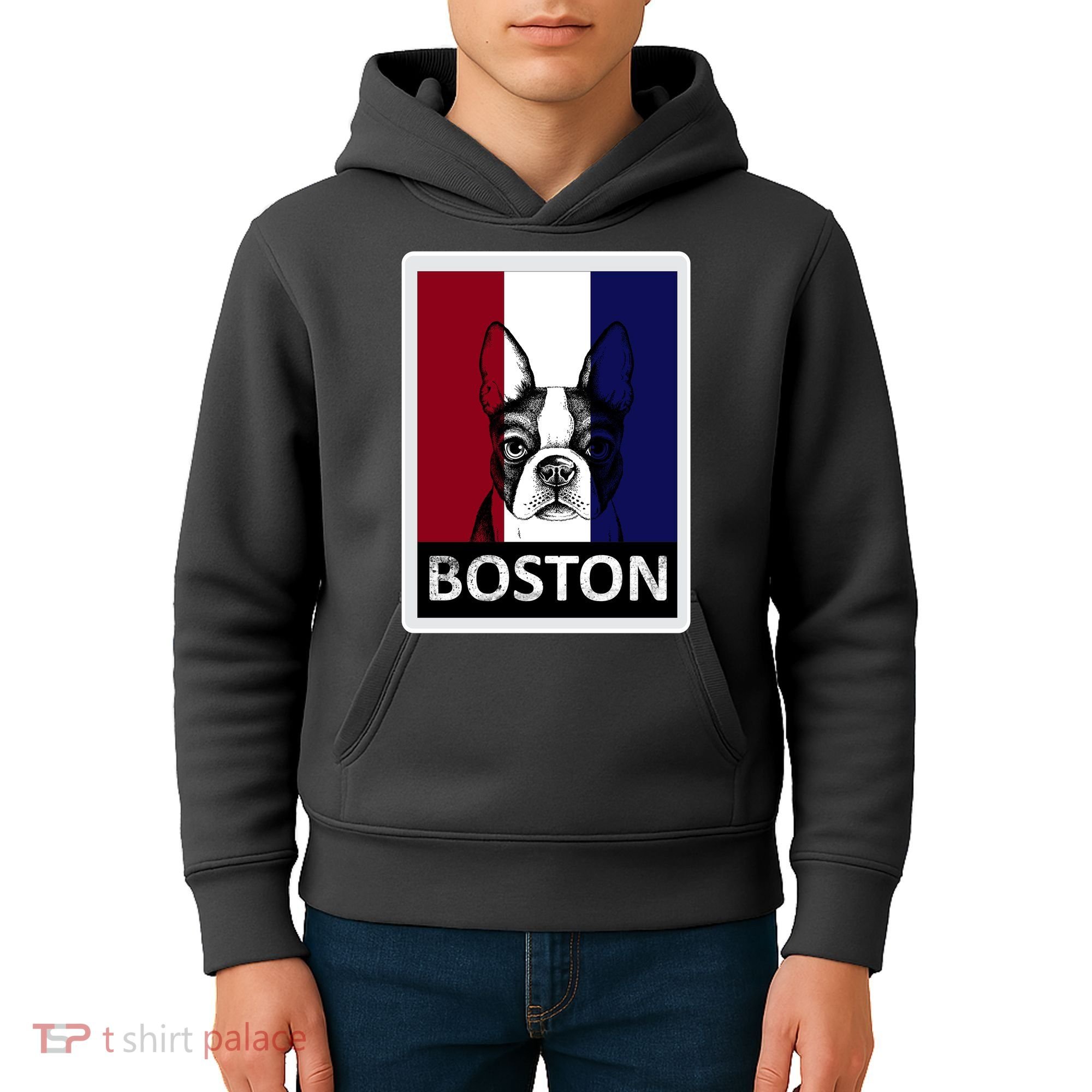 Boston Terrier Portrait  Kids Hoodie