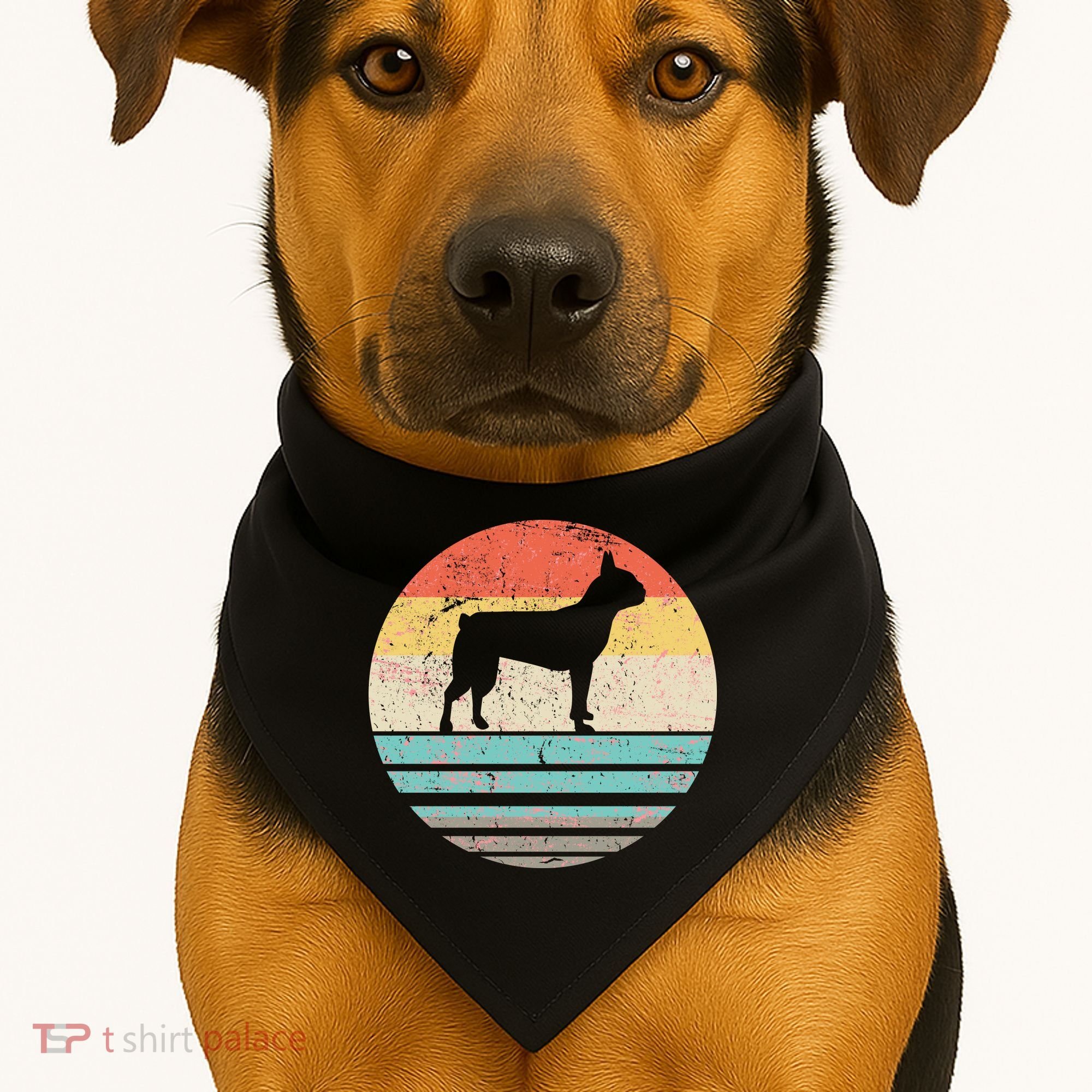 Boston Terrier Retro Sun USA-Made Doggie Bandana