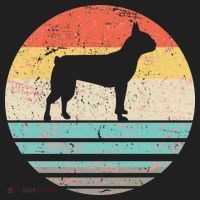 Boston Terrier Retro Sun Tumbler thumb 3