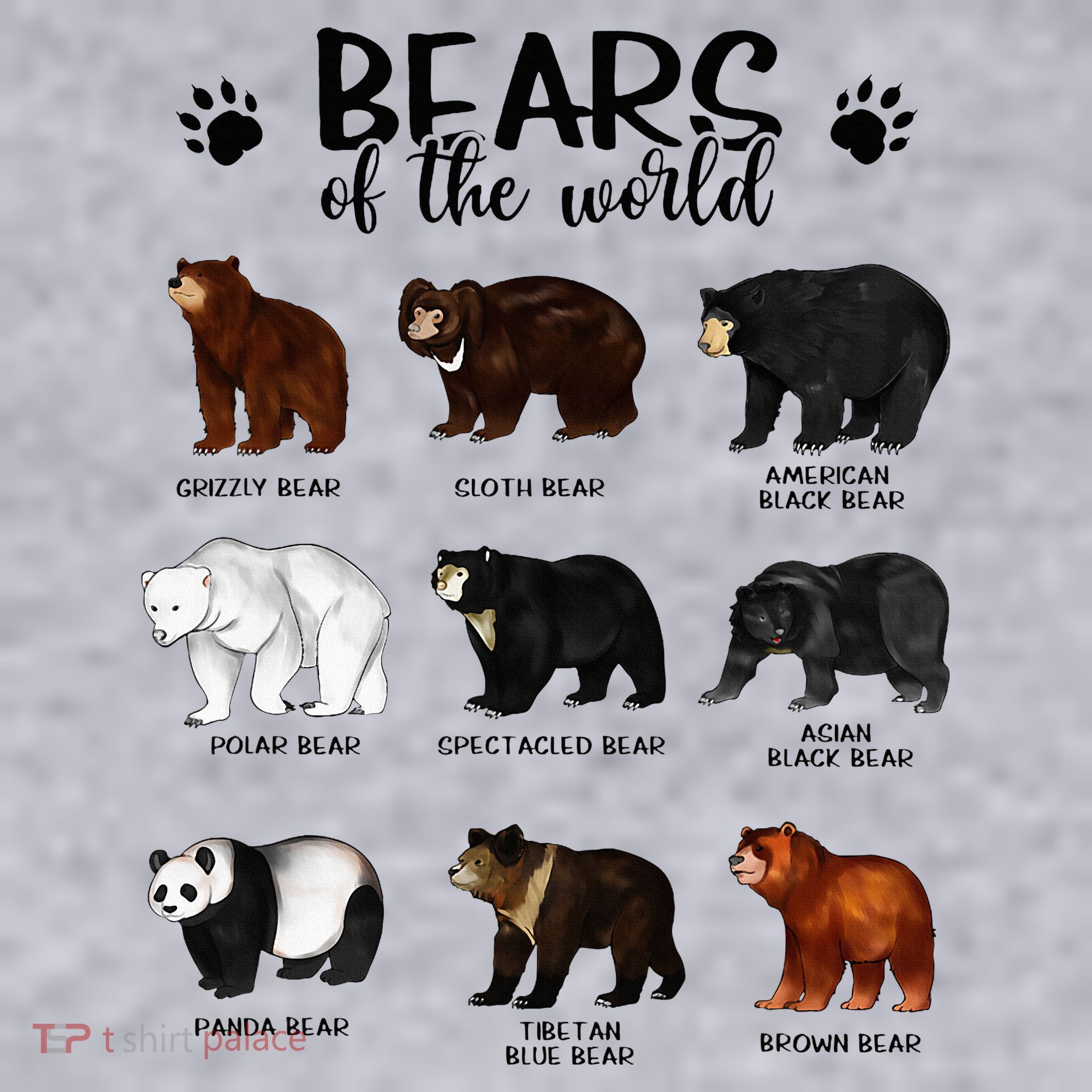 Bears Of The World Bears Women's Sweatshirt