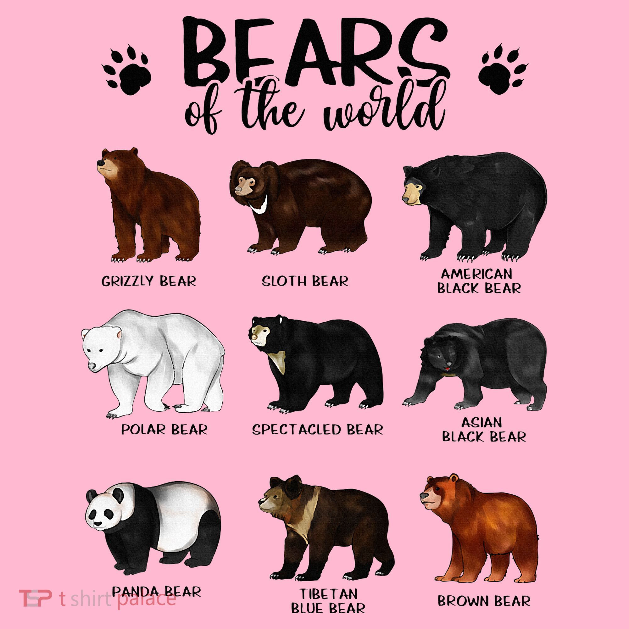 Bears Of The World Bears Visor