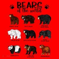 Bears Of The World Bears Santa Hat thumb 1