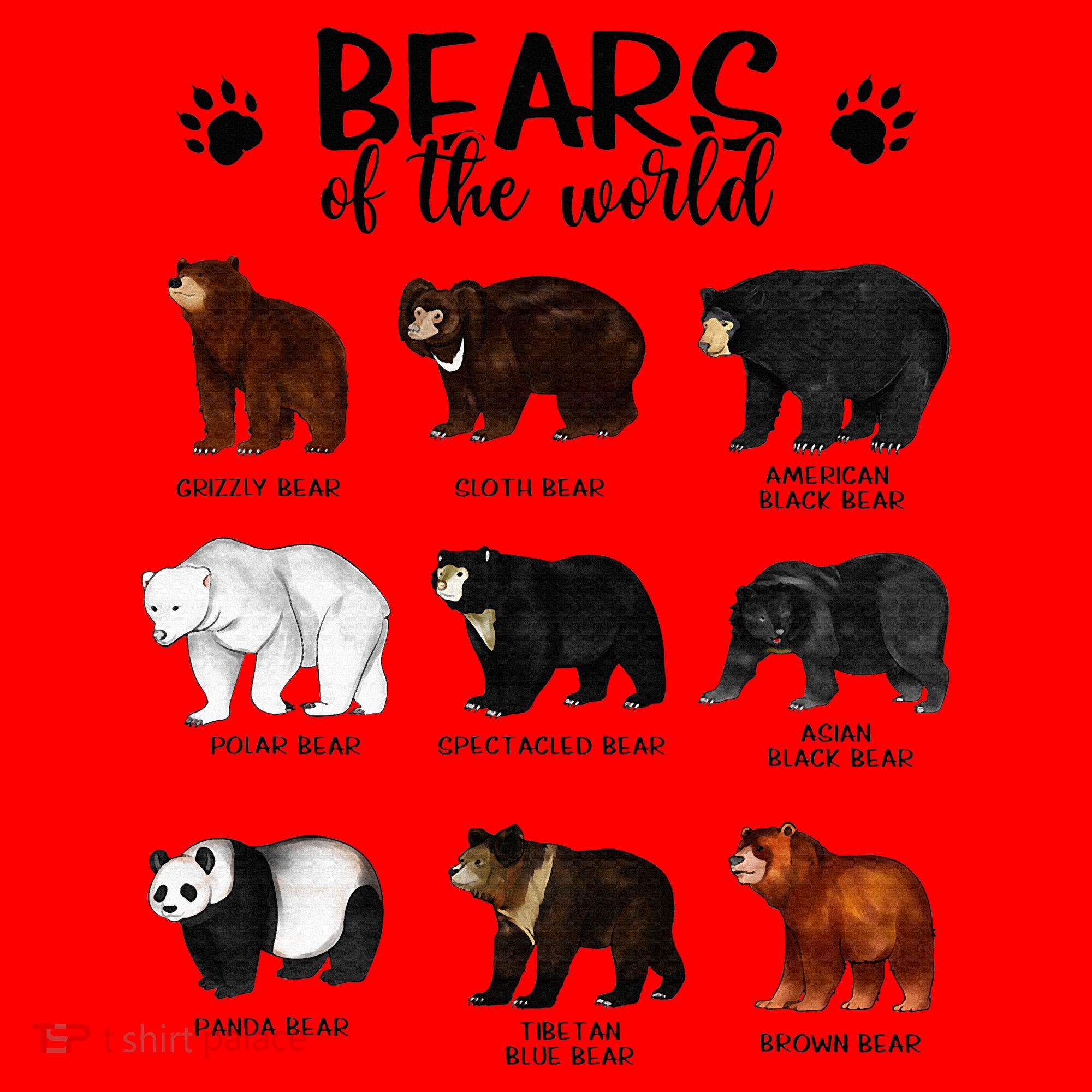 Bears Of The World Bears Santa Hat