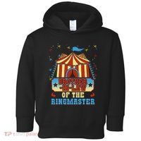 BrotherInLaw Of The Ringmaster Circus Birthday Party Toddler Hoodie thumb 0