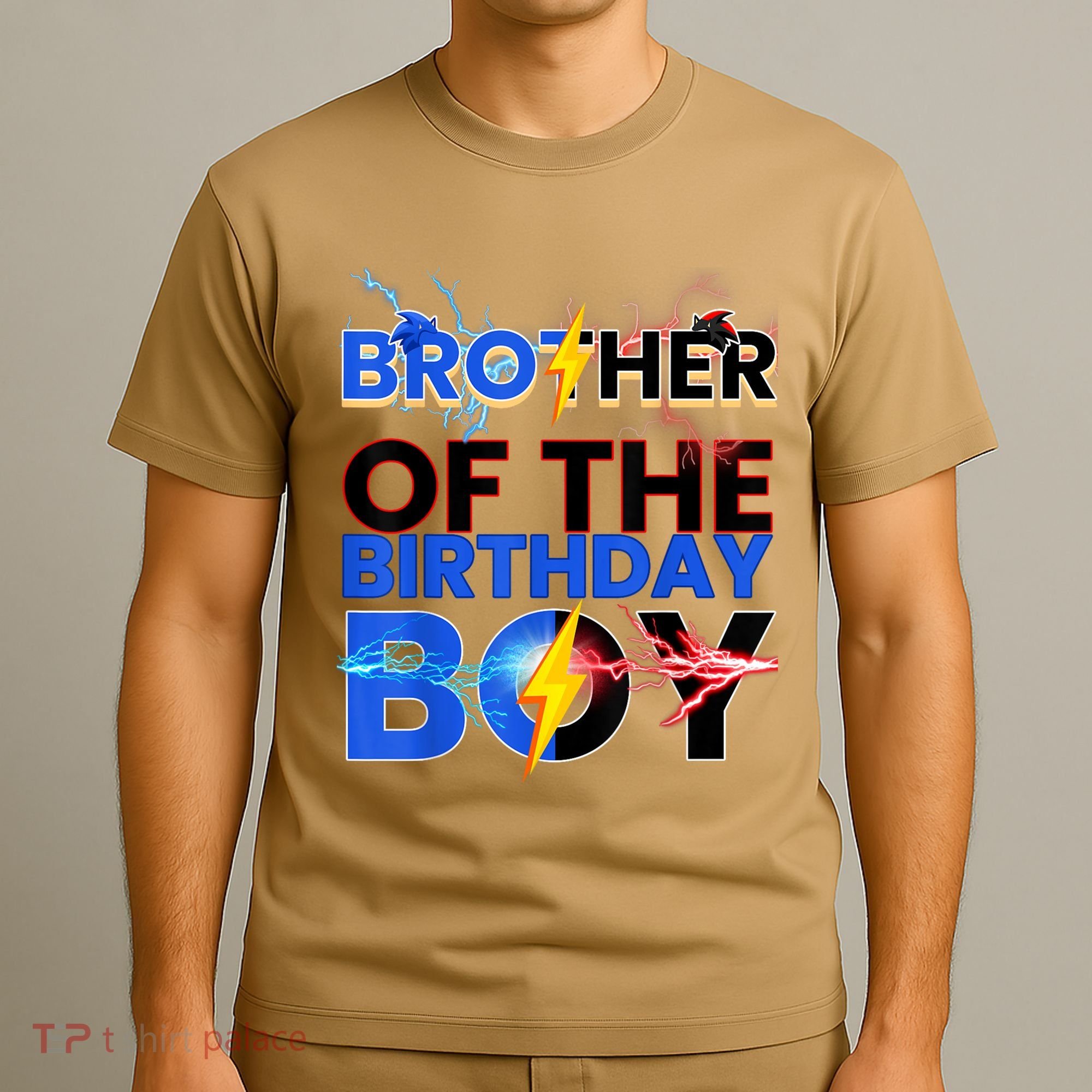 Brother Of The Birthday Boy Hedgehog Family Party T-Shirt