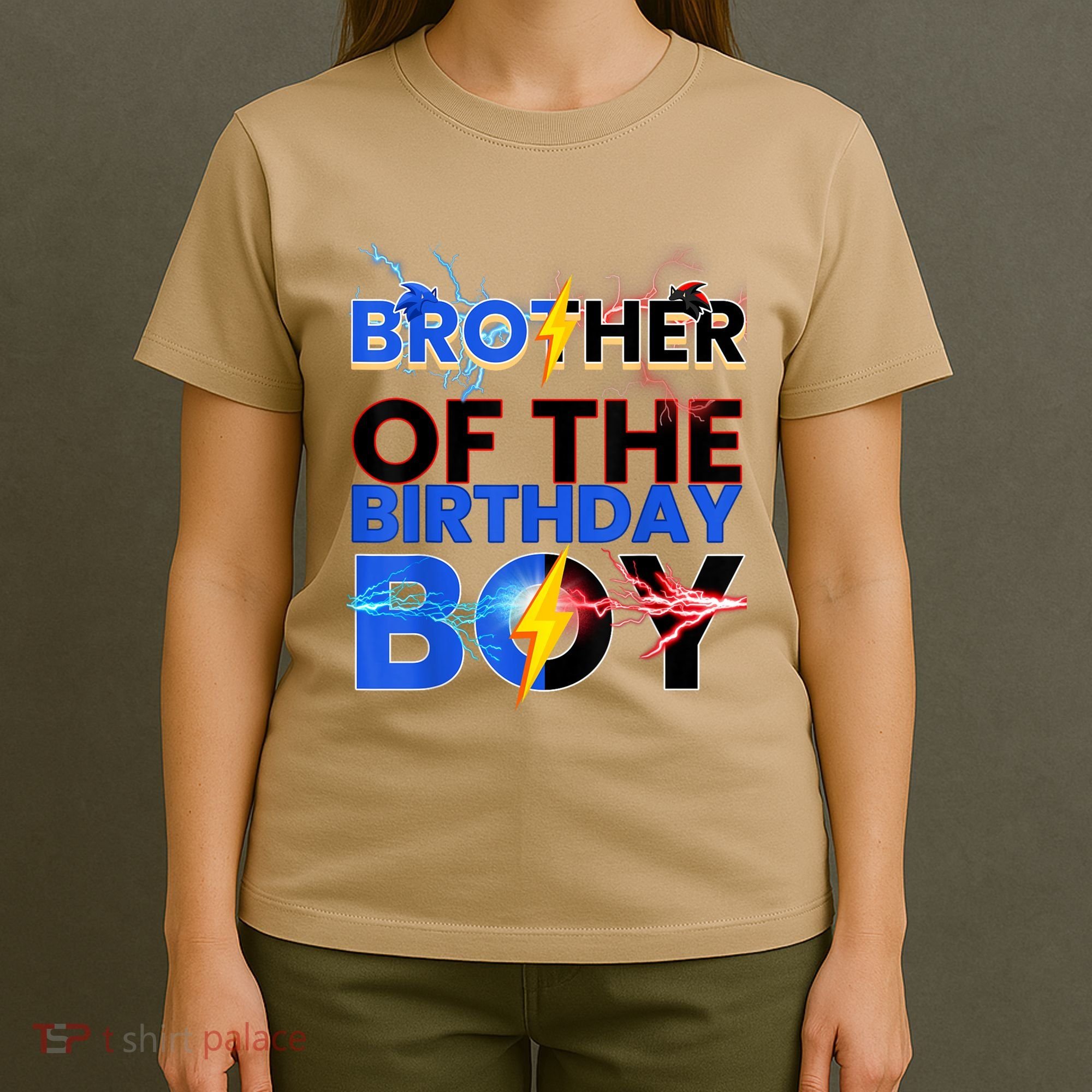 Brother Of The Birthday Boy Hedgehog Family Party T-Shirt