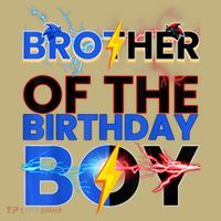 Brother Of The Birthday Boy Hedgehog Family Party T-Shirt thumb 7