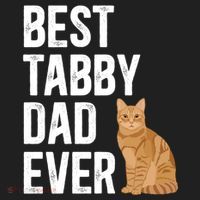 Best Orange Tabby Cat Dad Ever Orange Tabby Cat Owner Gift Women's Sweatshirt thumb 2