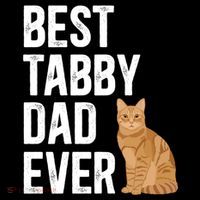Best Orange Tabby Cat Dad Ever Orange Tabby Cat Owner Gift Women's Hoodie thumb 2