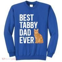 Best Orange Tabby Cat Dad Ever Orange Tabby Cat Owner Gift Sweatshirt thumb 0