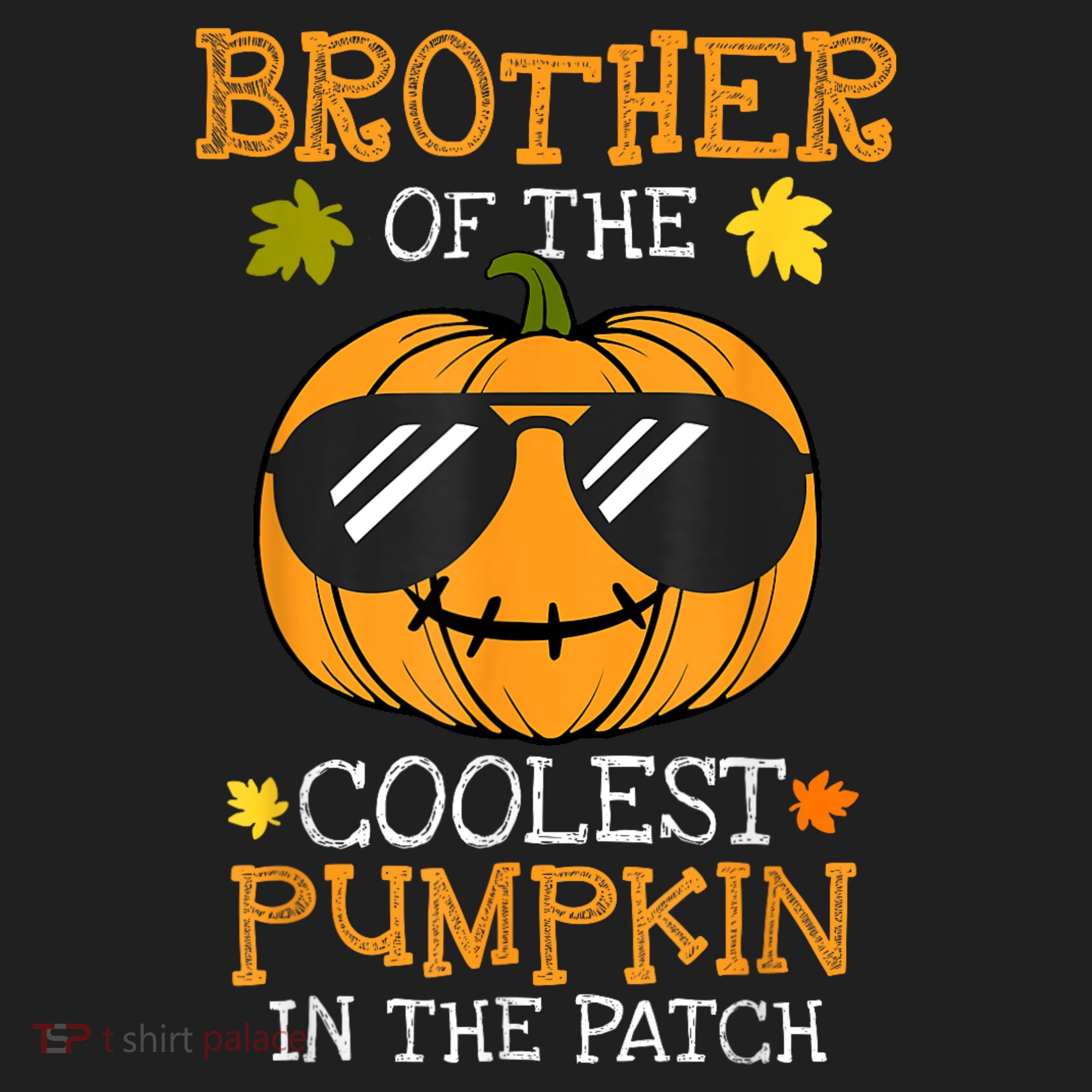 Brother Of The Coolest Pumpkin In The Patch Halloween Boy Beanie