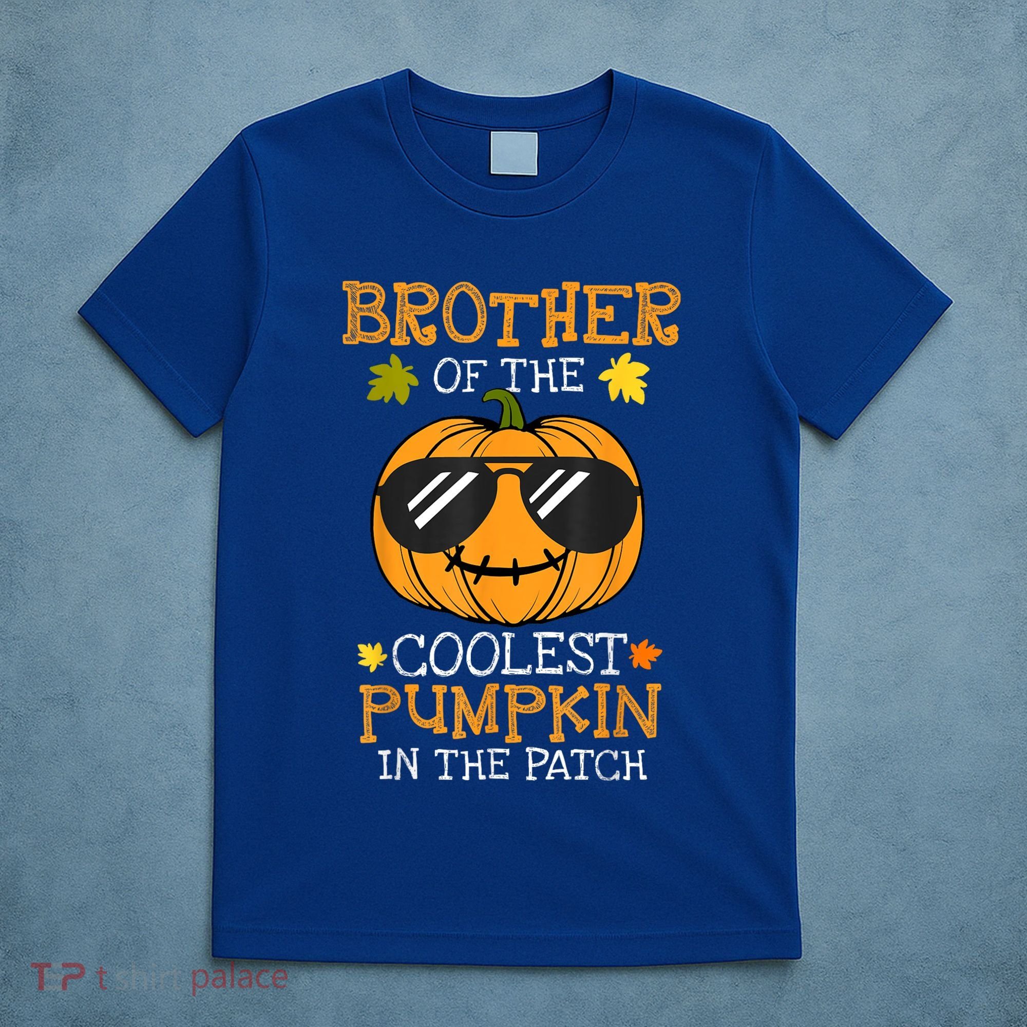 Brother Of The Coolest Pumpkin In The Patch Halloween Boy T-Shirt