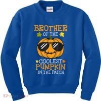 Brother Of The Coolest Pumpkin In The Patch Halloween Boy Kids Sweatshirt thumb 0